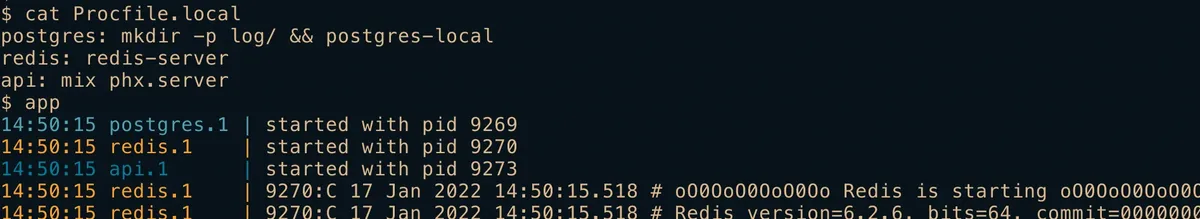 Terminal output of foreman starting postgres, redis and api processes from a Procfile