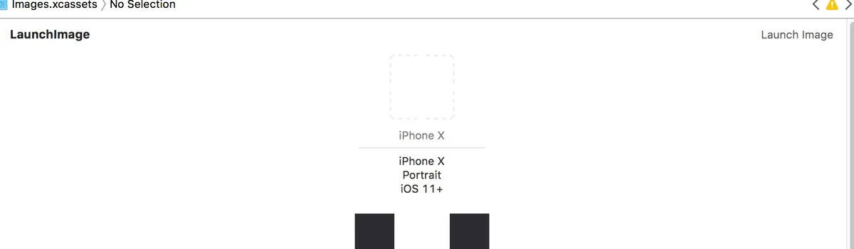 Xcode LaunchImage asset catalog with an empty iPhone X portrait slot