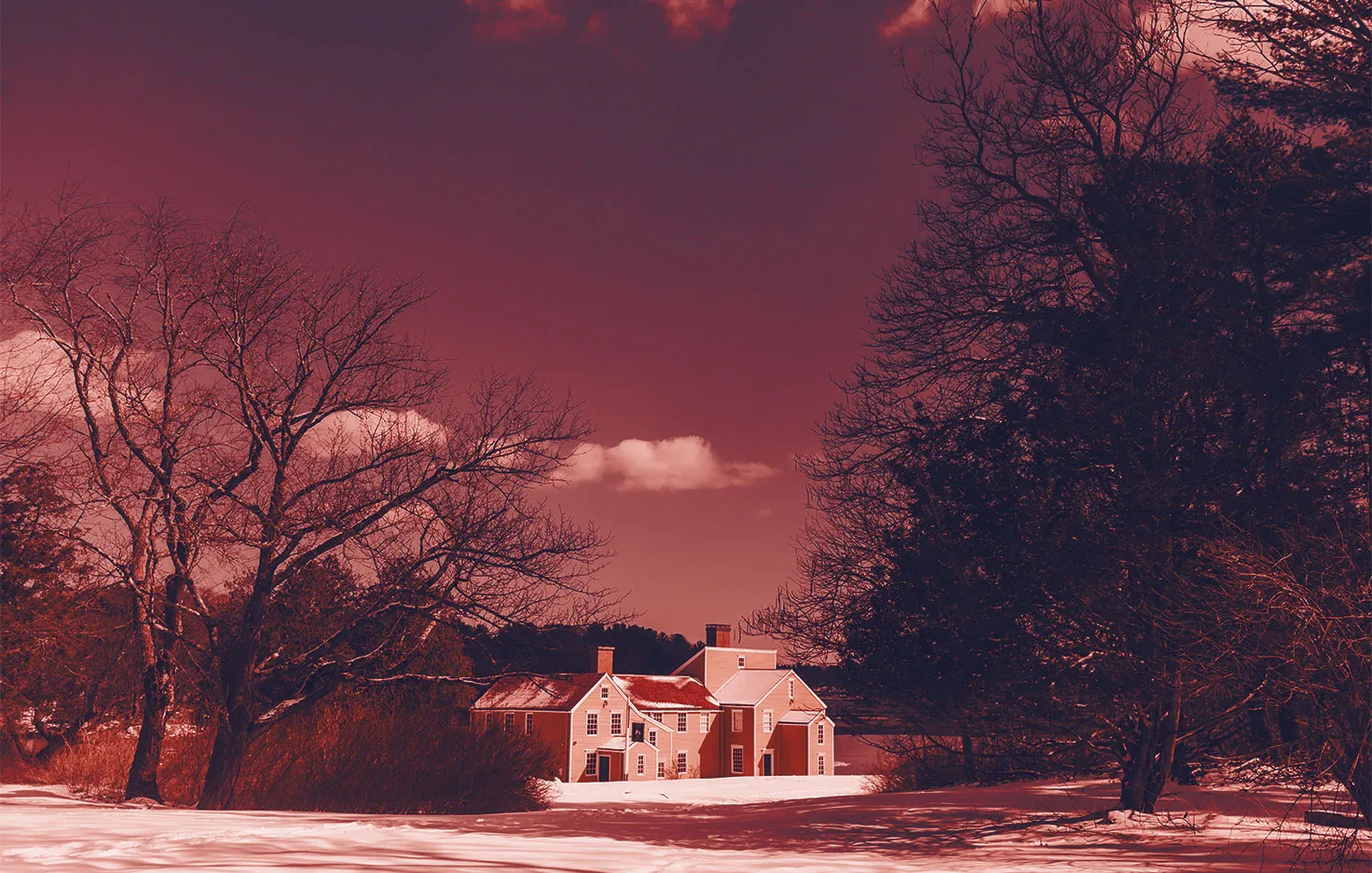 A farmhouse in a snowy field, framed by bare trees